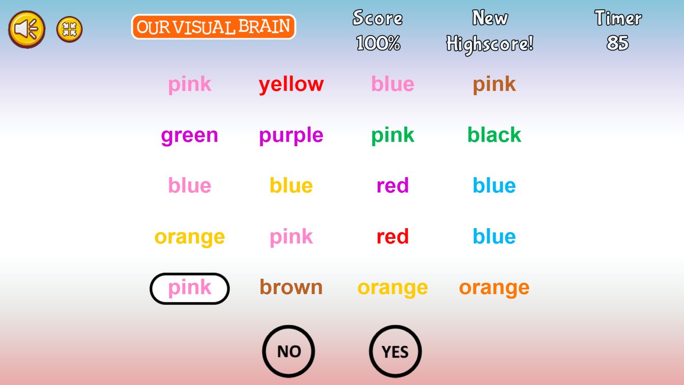 Our Visual Brain
