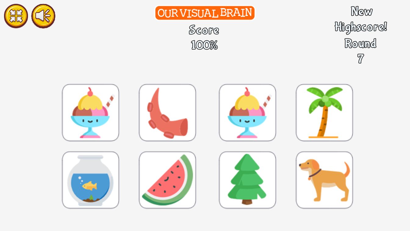 Our Visual Brain